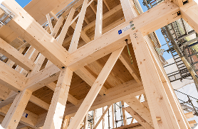 建物の構造を見られる設備がある！